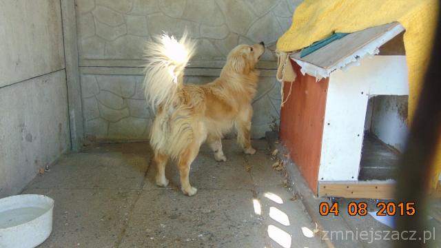 DSC00801